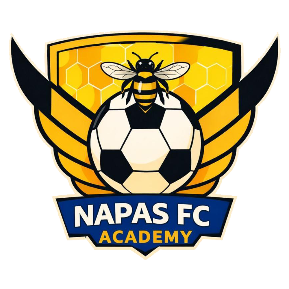 Escudo de Napas FC Academy