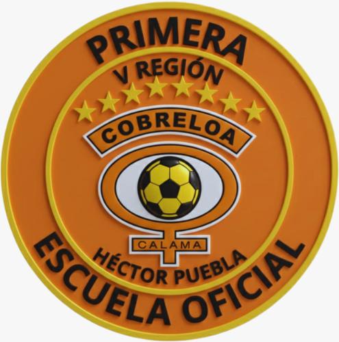Escudo de Cobreloa V Región